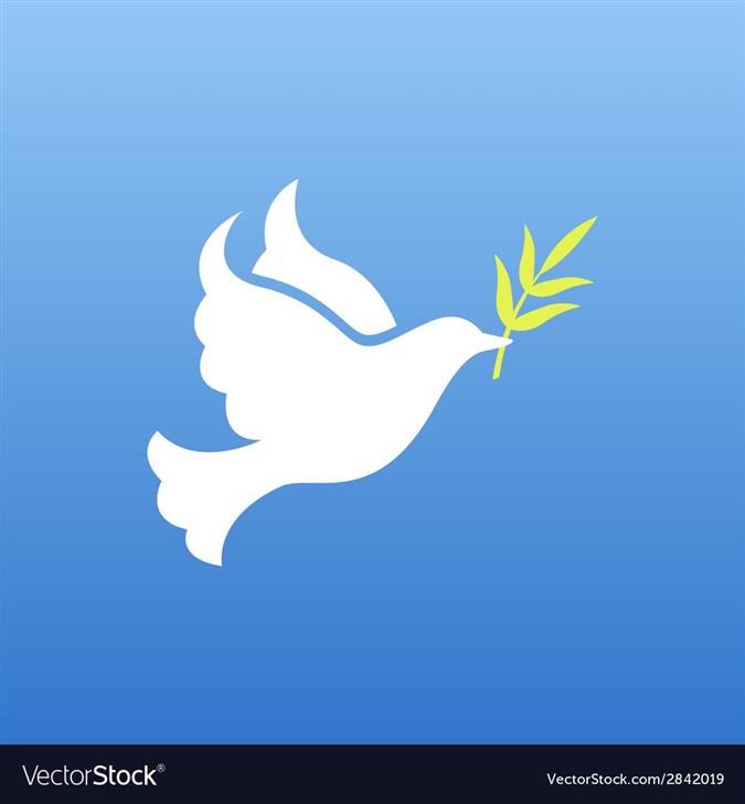  White Dove - Peace Symbol